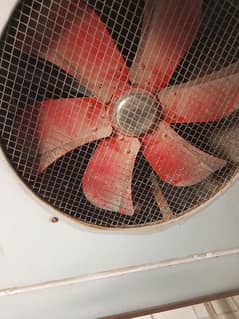 Air cooler