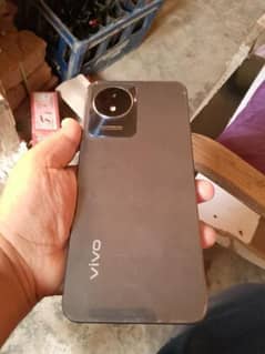 vivo