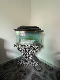 aquarium , fish tank , accessories