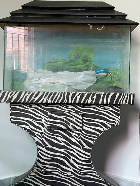 aquarium , fish tank , accessories 1