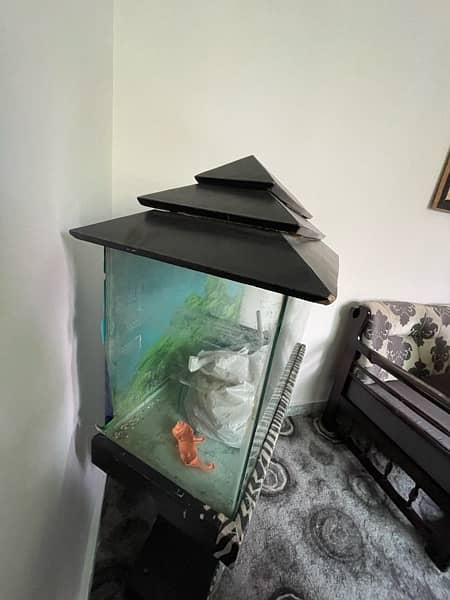 aquarium , fish tank , accessories 3