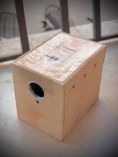 breeding boxes / folding cages / parrots / all type of accessories 10