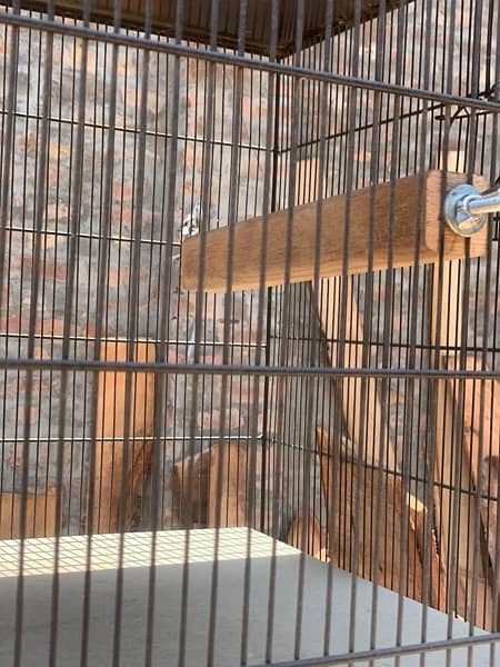 breeding boxes / folding cages / parrots / all type of accessories 16