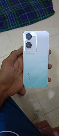 vivo