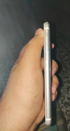 iPhone SE 2nd generation (2020) Back Crack