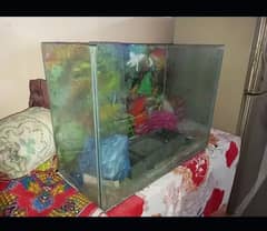 Fish Equirium 2ft for urgent sell. condition 10/8, no leakage.