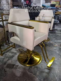 Saloon Chair/Parlour Chair/Facial Bed/Shampoo Unit/Pedicure/Trolley