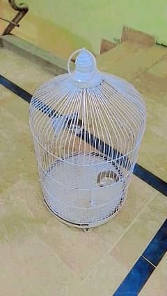 birds cage