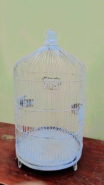 birds cage 1