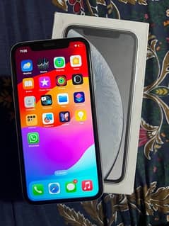 Iphone XR 128GB PTA Approved