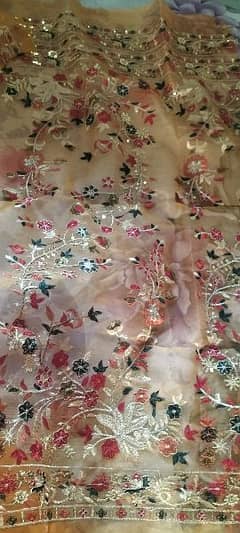 organza fully embroidery,