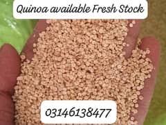 Quinoa Grain