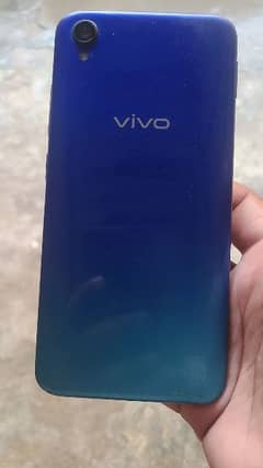 vivo