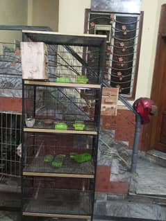 FOR Sale brand new pingra for birds & animal