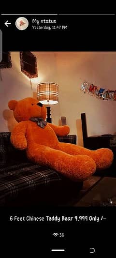 Jumbo Size Teddy Bear, Big Teddy Bear, Available For Sale 03269413521