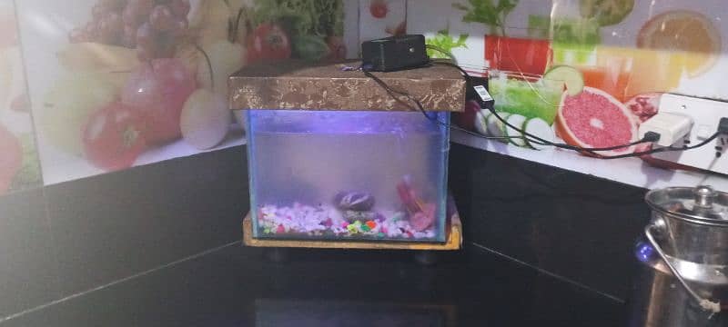 1.5feet aquarium for sale 1