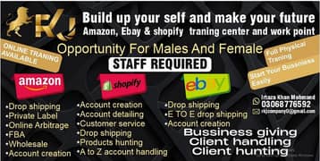 amazon eBay and  Shopify institute online work