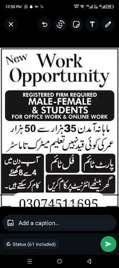 Required male female staff for online and office base work