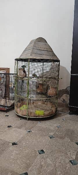 bird cage for raw parrots iron cage full strong 2