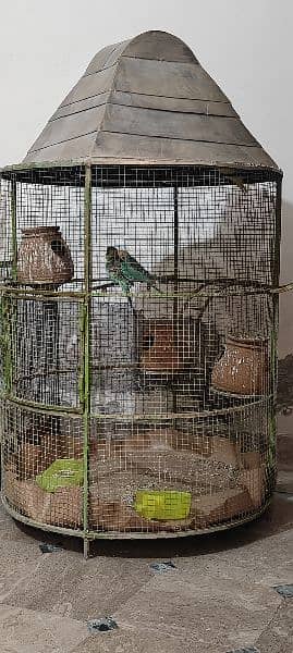 bird cage for raw parrots iron cage full strong 3