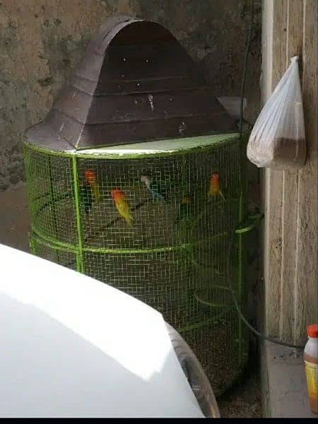 bird cage for raw parrots iron cage full strong 4