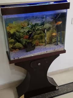 Fish Aquarium 30x24x12 Inches