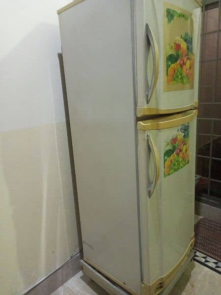 Pel fridge with wood stand for sale 1