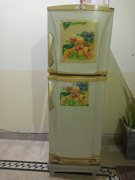 Pel fridge with wood stand for sale 3