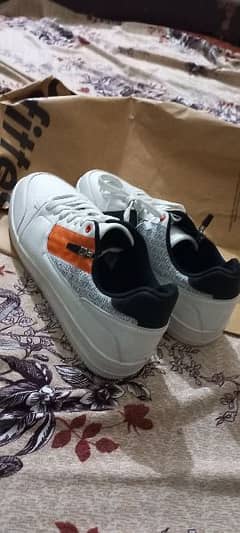 outfitter sneaker with zipper detail brand new 0