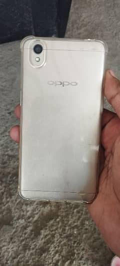 oppo