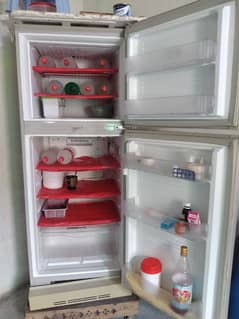 Pel fridge for sale