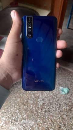 vivo