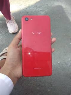 vivo