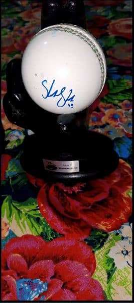 cricket ball  signed from player orignal proof in discription 2