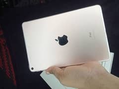 Ipad Mini 5 64GB