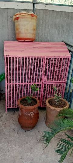 Birds cage for sale