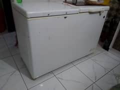 PEL D freezer big Size