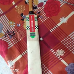 gray nicolls bat