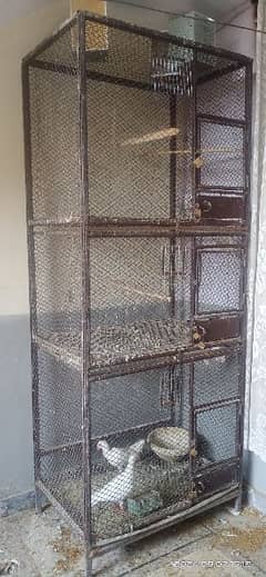 Cage | Iron Cage | Hens Cage | Customize Cage | Heavy Cage