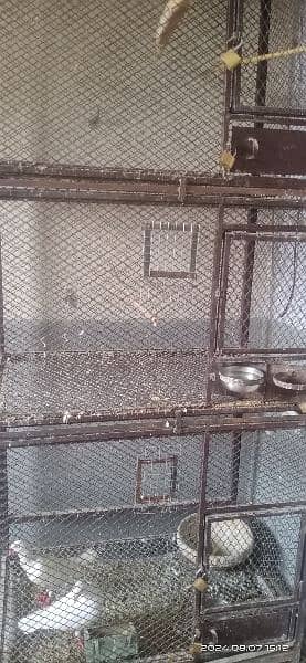 Cage | Iron Cage | Hens Cage | Customize Cage | Heavy Cage 1