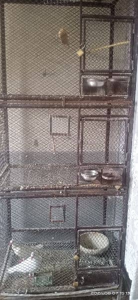 Cage | Iron Cage | Hens Cage | Customize Cage | Heavy Cage 2