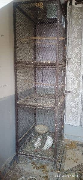 Cage | Iron Cage | Hens Cage | Customize Cage | Heavy Cage 3