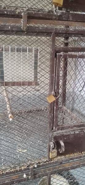 Cage | Iron Cage | Hens Cage | Customize Cage | Heavy Cage 4