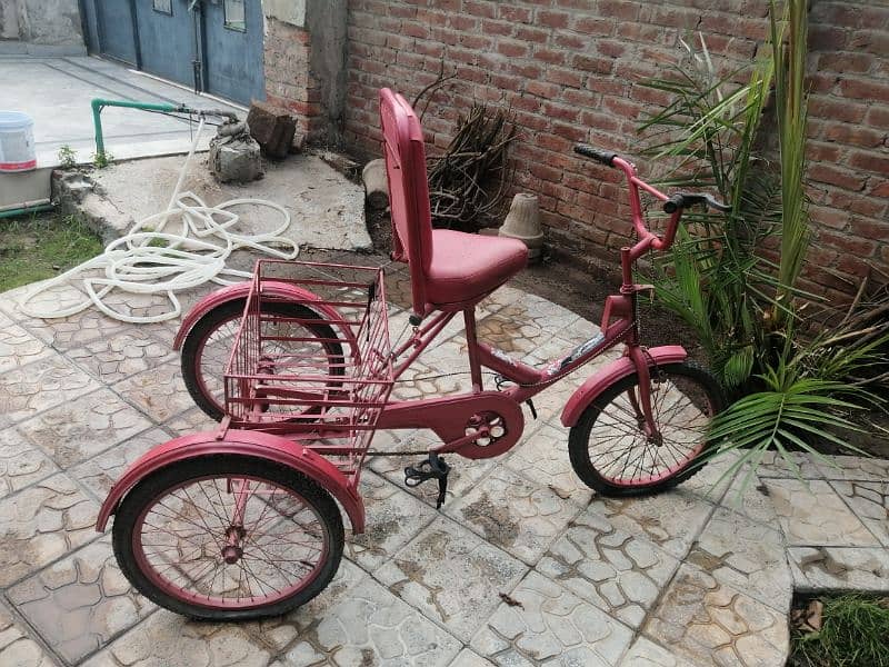 Tricycle 2