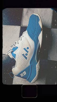 Badminton Shoes