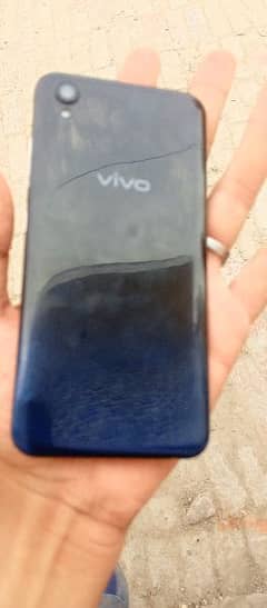 vivo