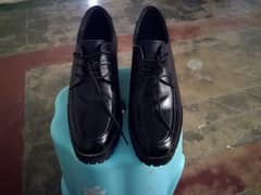 shoes Men