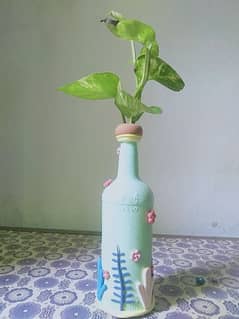 Water Bottle for Money plants