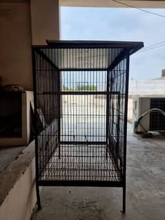 3 by 3 parrot cage at very cheap price