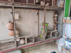 Birds Cage for sale